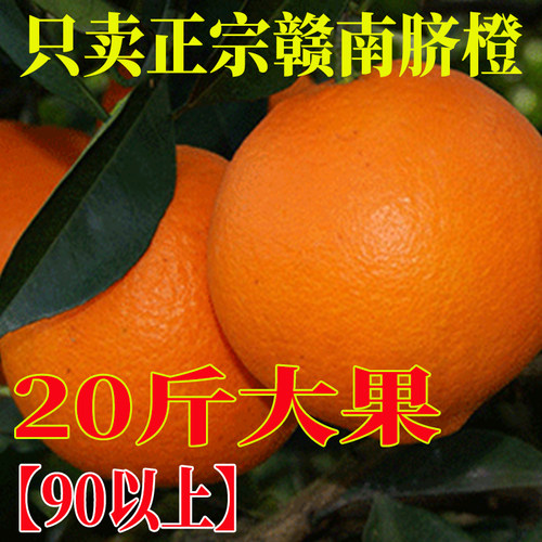 原产地正宗新鲜放心的赣南脐橙