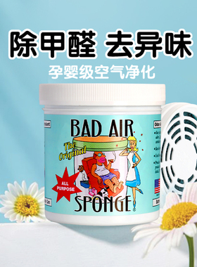 美国Bad Air 甲醛清除剂 空气净化剂去除异味神器新房车室内家用