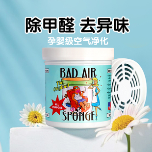 空气净化剂去除异味神器新房车室内家用 甲醛清除剂 美国Bad Air