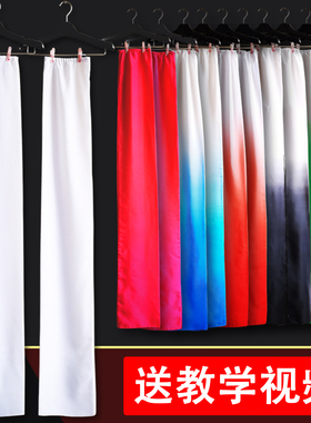 水袖单独袖子藏族舞蹈演出服装不连身戏曲古典练功服甩袖雪纺飘逸