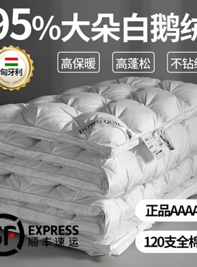 匈牙利正品羽绒被95白鹅绒冬被五星级酒店加厚保暖春秋双人被子芯