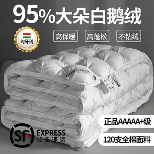 匈牙利正品 羽绒被95白鹅绒冬被五星级酒店加厚保暖春秋双人被子芯