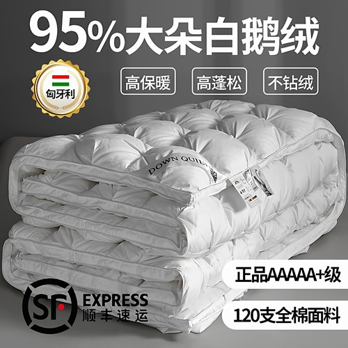 匈牙利羽绒被95白鹅绒加厚冬被芯