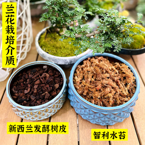 新西兰水苔质量怎么样 新西兰水苔口碑怎么样 小麦优选