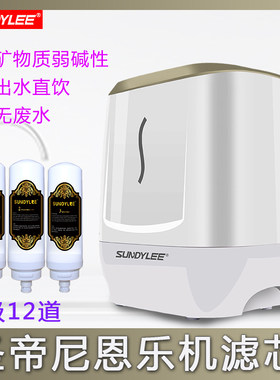 SUNDYLEE圣帝尼净水器家用滤芯耗材直饮恩乐机换滤芯上门免费安装