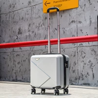 Модель серебряной молнии женьшень