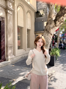 Zzhen珍珍 冬季100绵羊毛连帽毛衣显瘦百搭内搭软糯针织上衣