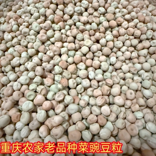 重庆农家干菜豌豆粒老品种土豌豆豆粒可种可生豌豆苗