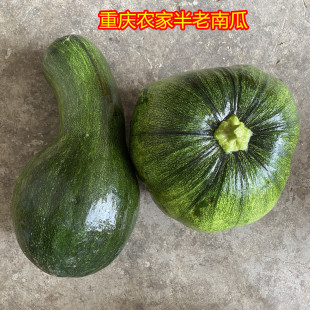重庆农家青皮南瓜二老南瓜半老南瓜可以炖坨坨的南瓜现摘大南瓜