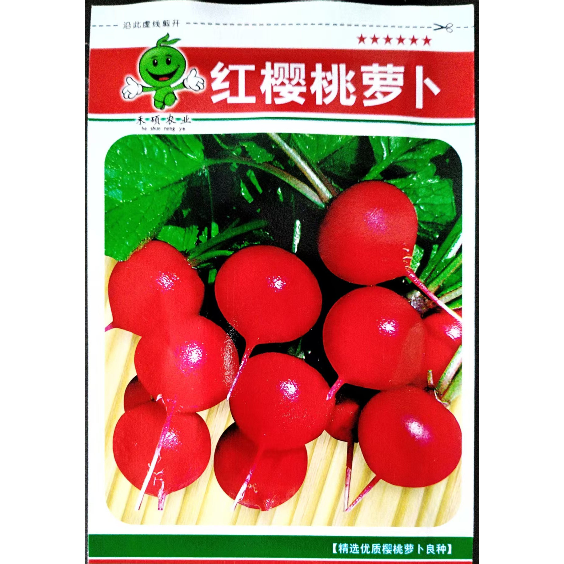 樱桃萝卜种子四季阳台盆栽