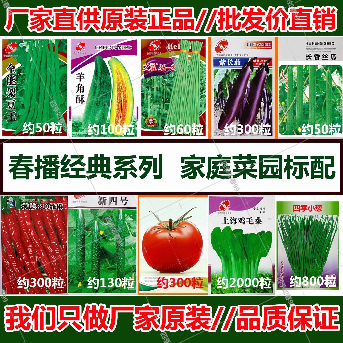 蔬菜种子大全春秋四季播阳台盆栽蔬菜种籽辣椒西红柿玉米西瓜种子
