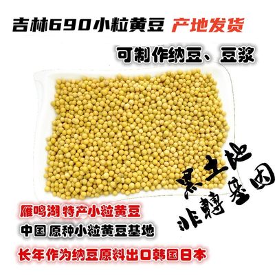 极小粒黄豆黄豆豆浆制作纳豆原料