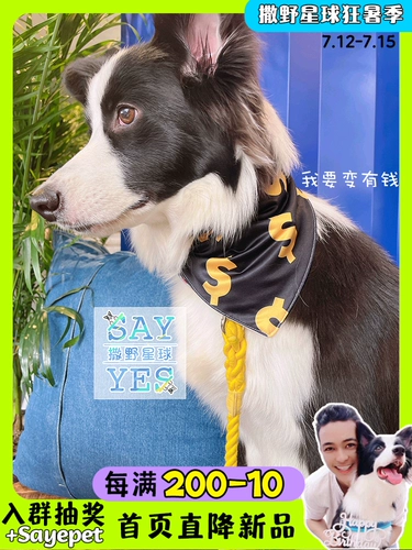 Сакано планета Муки Петт рт рот водяной полотенце, кот, милый рот, карман, карман, большая собака золотисто -шерстяное края крикет шейки матки шейки матки