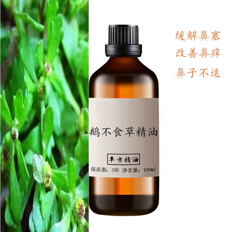 鹅不食草精油100ml鼻干鼻塞不适