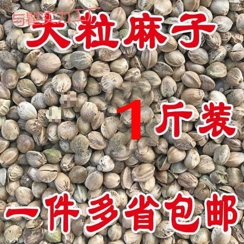 pe大颗粒火麻子鸟食鸟粮 鹦鹉粮鸽粮火麻仁仓鼠粮新麻子火麻仁