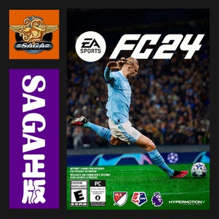 Sports cdkey PC正版 app steam成品帐号 EA激活码 24标准