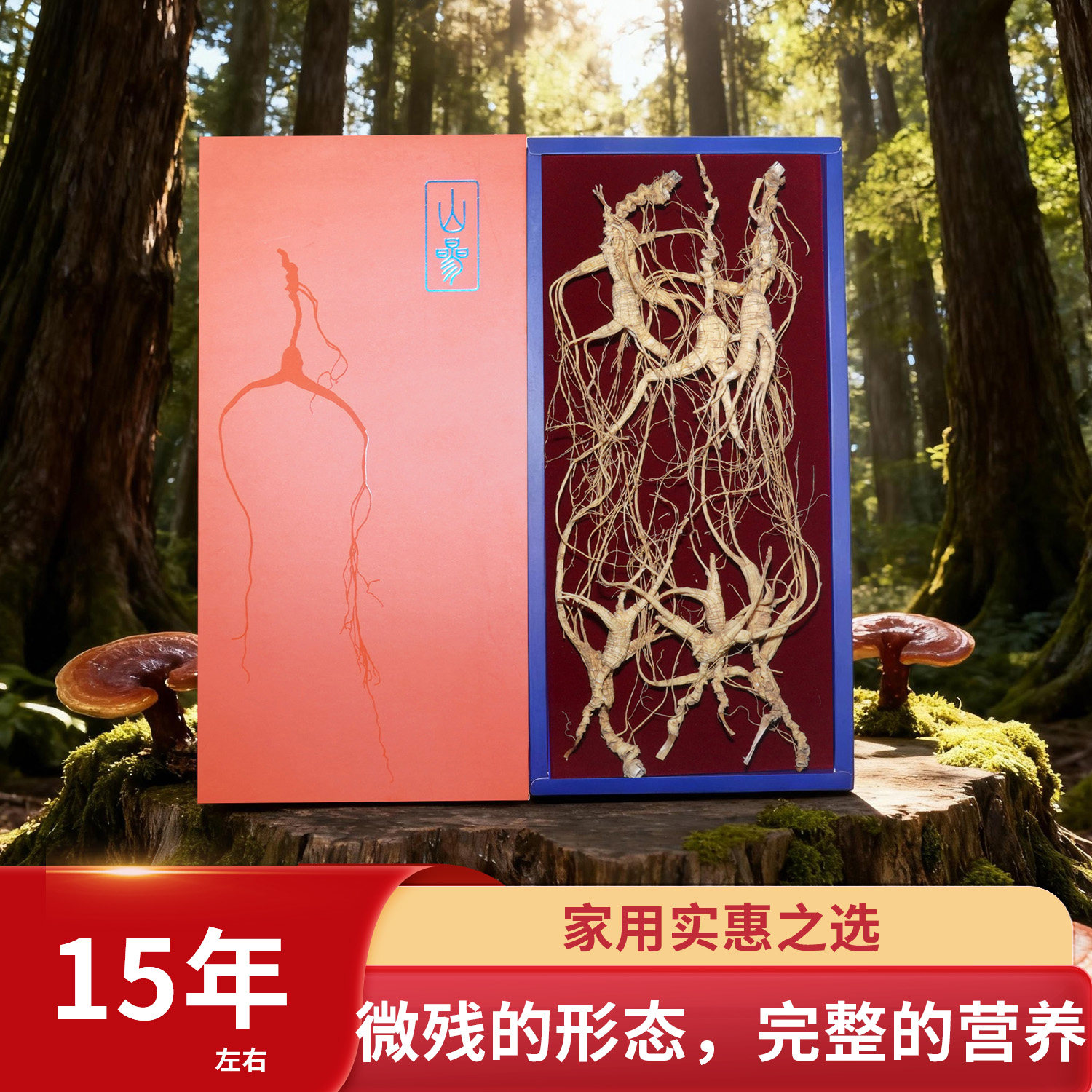 15年左右 林下籽参 残参 生晒参 打粉炖汤简装 朱洪达人参之道