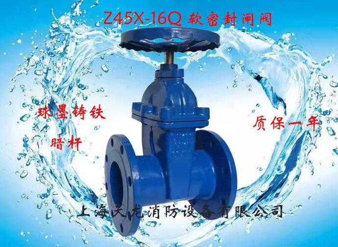 软密封闸阀上海天龙有问题免费换