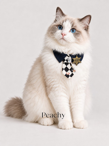 Peachy 宠物围兜学院风狗狗口水巾猫咪领带小中型犬通用玩偶围兜