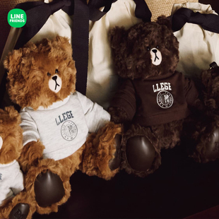 LINE FRIENDS布朗熊xRECTO毛绒中型玩偶可爱女坐立公仔娃娃礼物