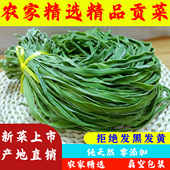 邳州农家纯手工日晒贡菜干下饭菜苔干无叶贡菜脱水蔬菜农家土特产