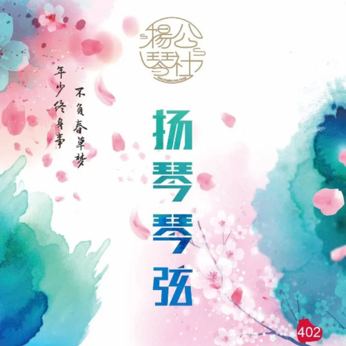 型号进口材质整套144根新款琴弦