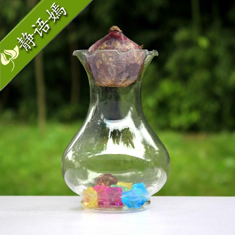 风信子透明玻璃瓶水养花盆客厅