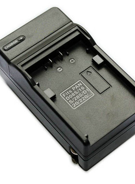 适合 CGR-D16S D08S D28S D54S DS88A PV-DV100D DV200电池充电器