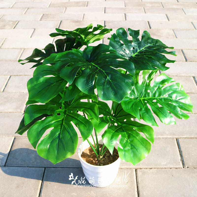 绿色植物盆景塑料龟背叶特价包邮