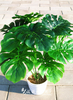 绿色植物盆景塑料龟背叶特价包邮