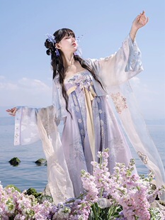 2026夏季新款汉服女【藤雨落】唐制齐胸裙法门寺短外披小唐国风