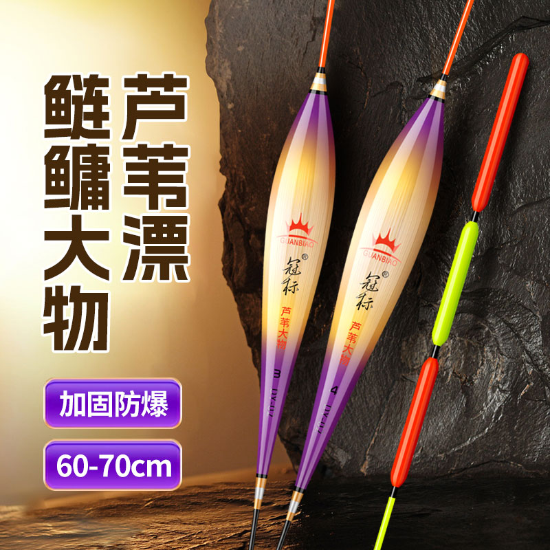 带壳芦苇大浮力加粗醒目漂尾