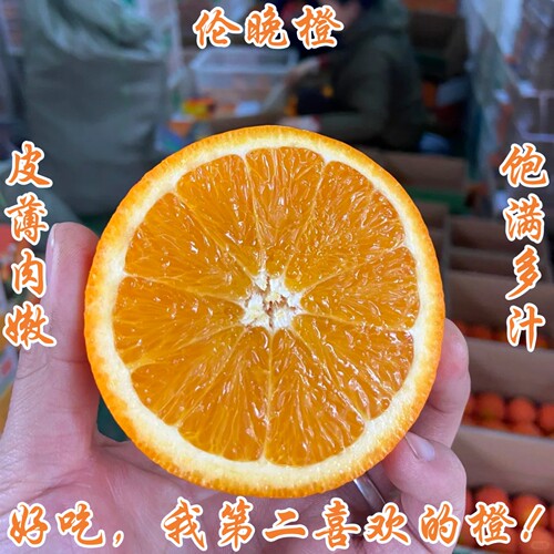 正宗湖北宜昌秭归伦晚橙大果当季新鲜水果净重5斤8斤9斤礼盒包邮