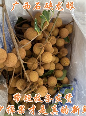 EMS空运广西平南石硖龙眼蜜甜现摘直发桂圆新鲜5斤带箱加冰袋包邮