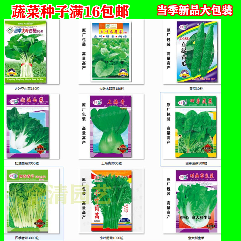 空心菜无土栽培价格 空心菜无土栽培图片 星期三