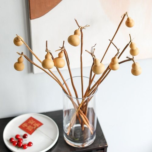 天然复古风干小葫芦干花摆设