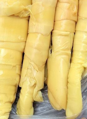 云南德宏新鲜黄笋嫩黄笋尖黄笋片开胃爽口炒菜炖汤 火锅鲜嫩酸笋