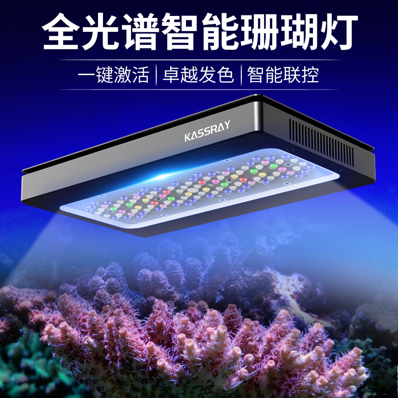 KASSRAY珊瑚灯十路智能远程APP