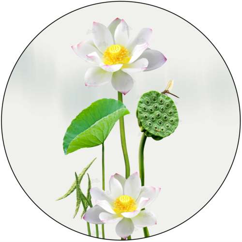 2026年圆形荷花净秽贴乔迁新居过年镇宅风水莲花门贴防水自粘贴纸