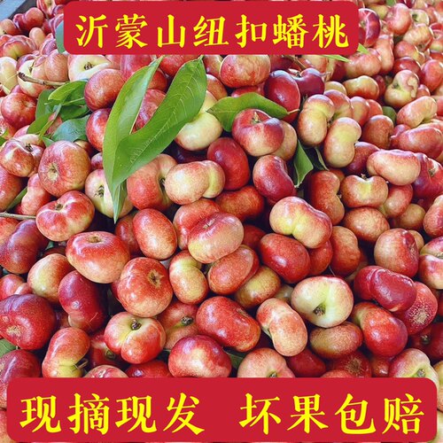 沂蒙山纽扣蟠桃油蟠桃