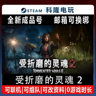 PC正版Steam游戏受折磨的灵魂2 Tormented Souls2全新0时长成品号