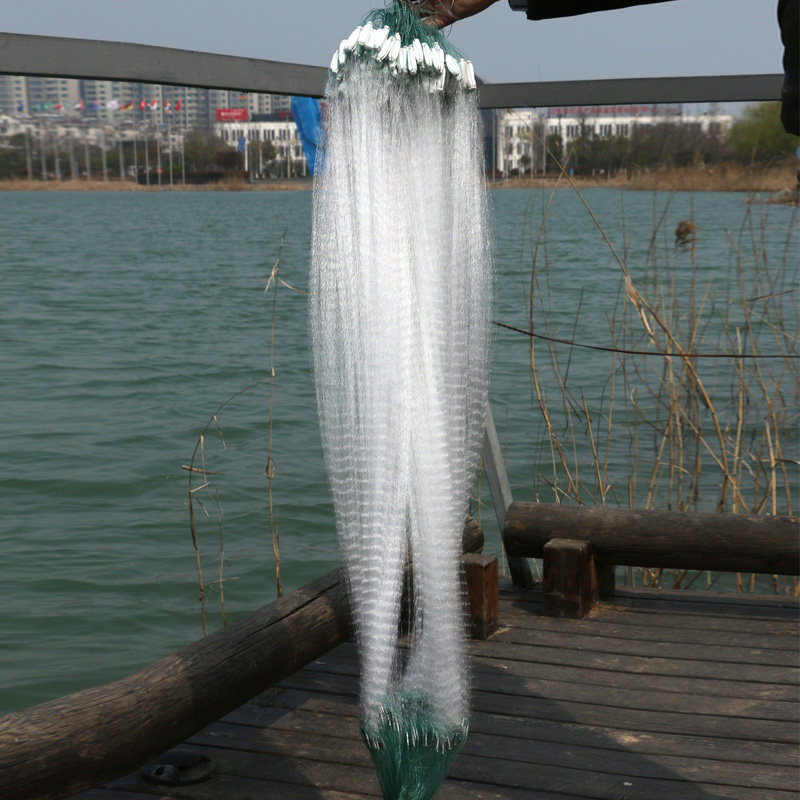 白条专用鱼网小鲫鱼网三层粘鱼网单层沉网一指6分5分网眼加密丝网