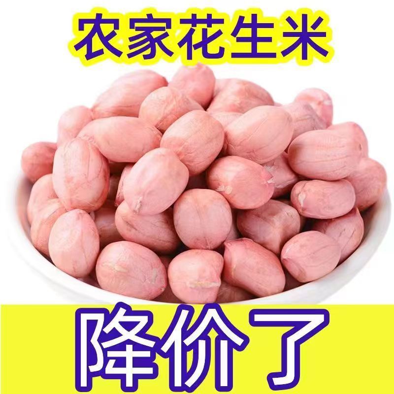 【新鲜白沙粉皮】现剥新货特价花生米精选特级大粒