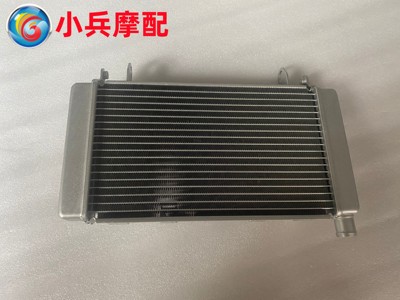 适用钱江贝纳利黄龙600水箱BJ600GS BN600i水箱散热器带支架