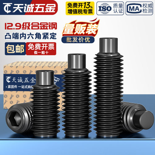 【全网热销】12.9级凸端紧定螺丝