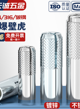 304/316不锈钢内膨胀螺丝膨胀螺栓顶爆内爆壁虎平爆M6M8M10M12M16