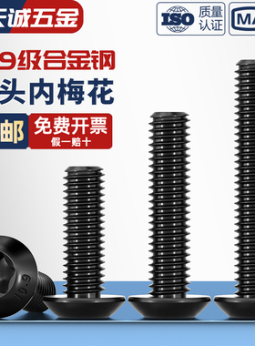 10.9级防盗螺丝高强度梅花孔半圆头盘头内六角螺钉圆杯M5M6M8M10