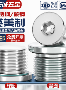 SAE系列镀锌/304/316不锈钢美制内六角带0圈密封法兰堵头40N5/16