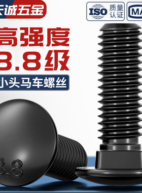 8.8级马车螺丝高强度半圆头方颈螺栓货架桥架螺丝M6M8M10M12M16