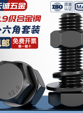12.9级高强度螺栓外六角螺丝螺母套装大全平垫片弹垫配件加长螺杆